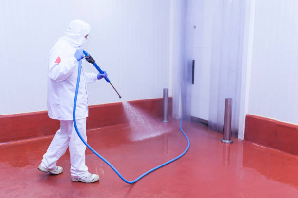 Best Rust Removal  in Brambleton, VA